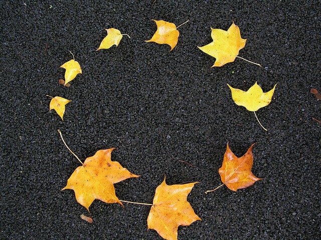 leaves-loop