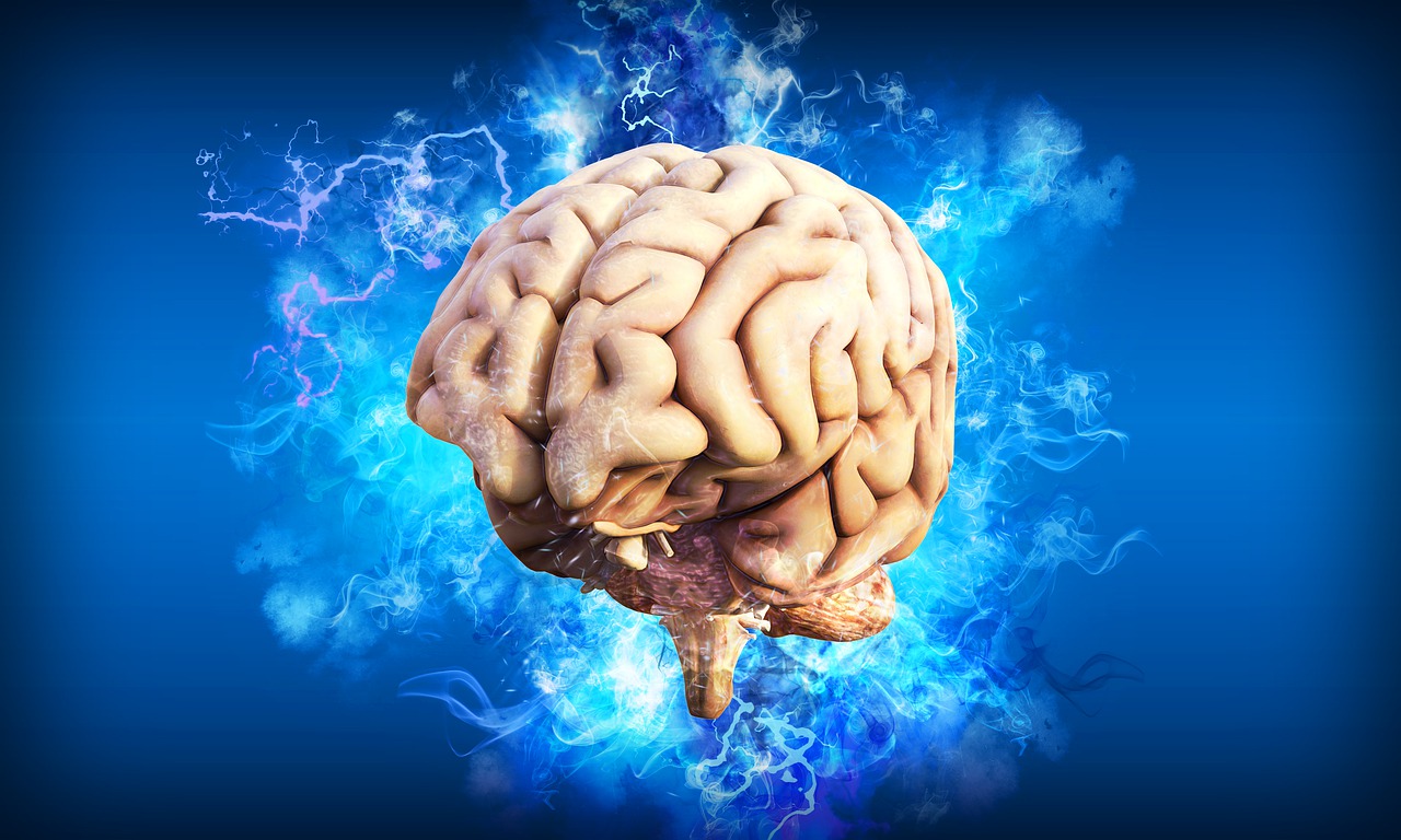 brain-ultralearning